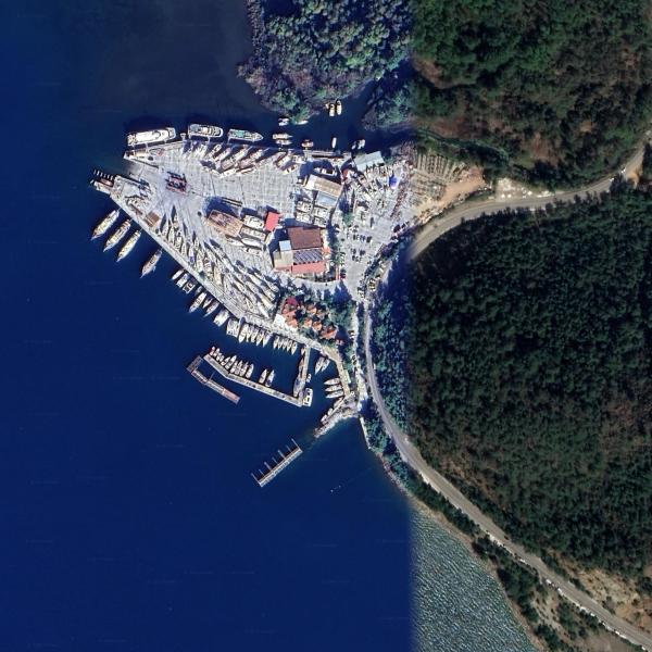 Albatros Marina