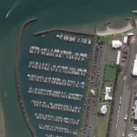 Tauranga Marina Society